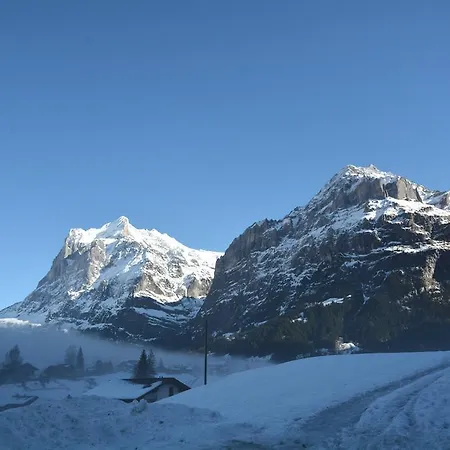 Apartment Alpha - Griwa Rent Ag Grindelwald Exterior photo